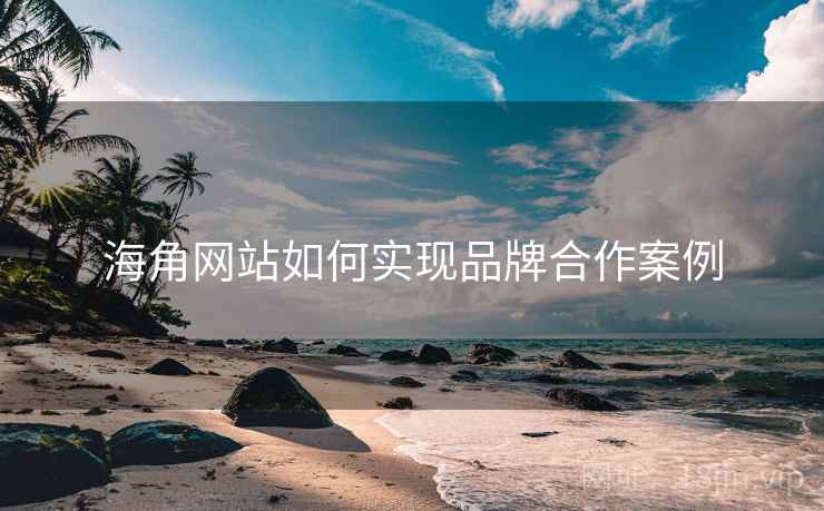 海角网站如何实现品牌合作案例