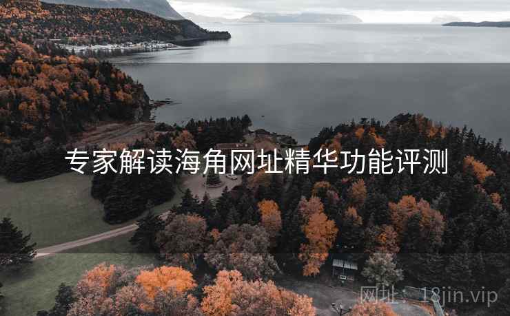 专家解读海角网址精华功能评测