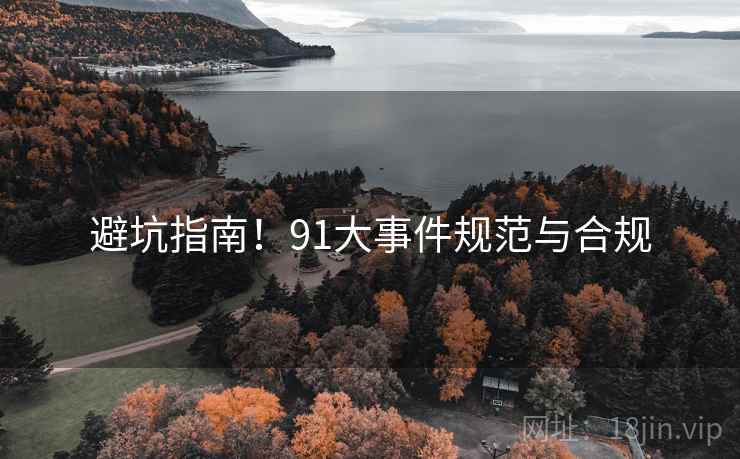 避坑指南！91大事件规范与合规