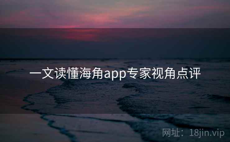 一文读懂海角app专家视角点评