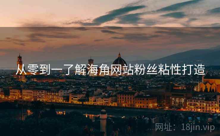 从零到一了解海角网站粉丝粘性打造